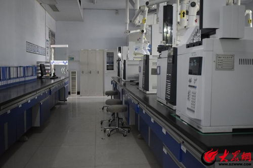 产业链上的山东好品牌丨联化科技德州 全链条减碳技术绘就化工行业绿色转型新图景