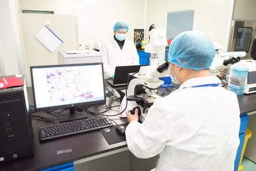 1000批次食品安全抽检，护您疫情期间吃得放心