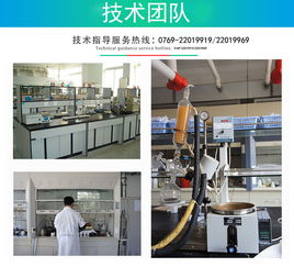 专业服务护航，技术服务赋能企业数字化转型