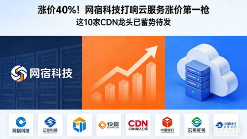 涨价40% 网宿科技打响云服务涨价第一枪，10家CDN龙头蓄势待发