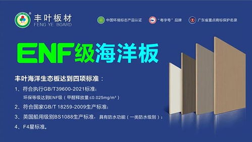 丰叶板材强势登陆高铁传媒春节档，开启品牌推广新篇章